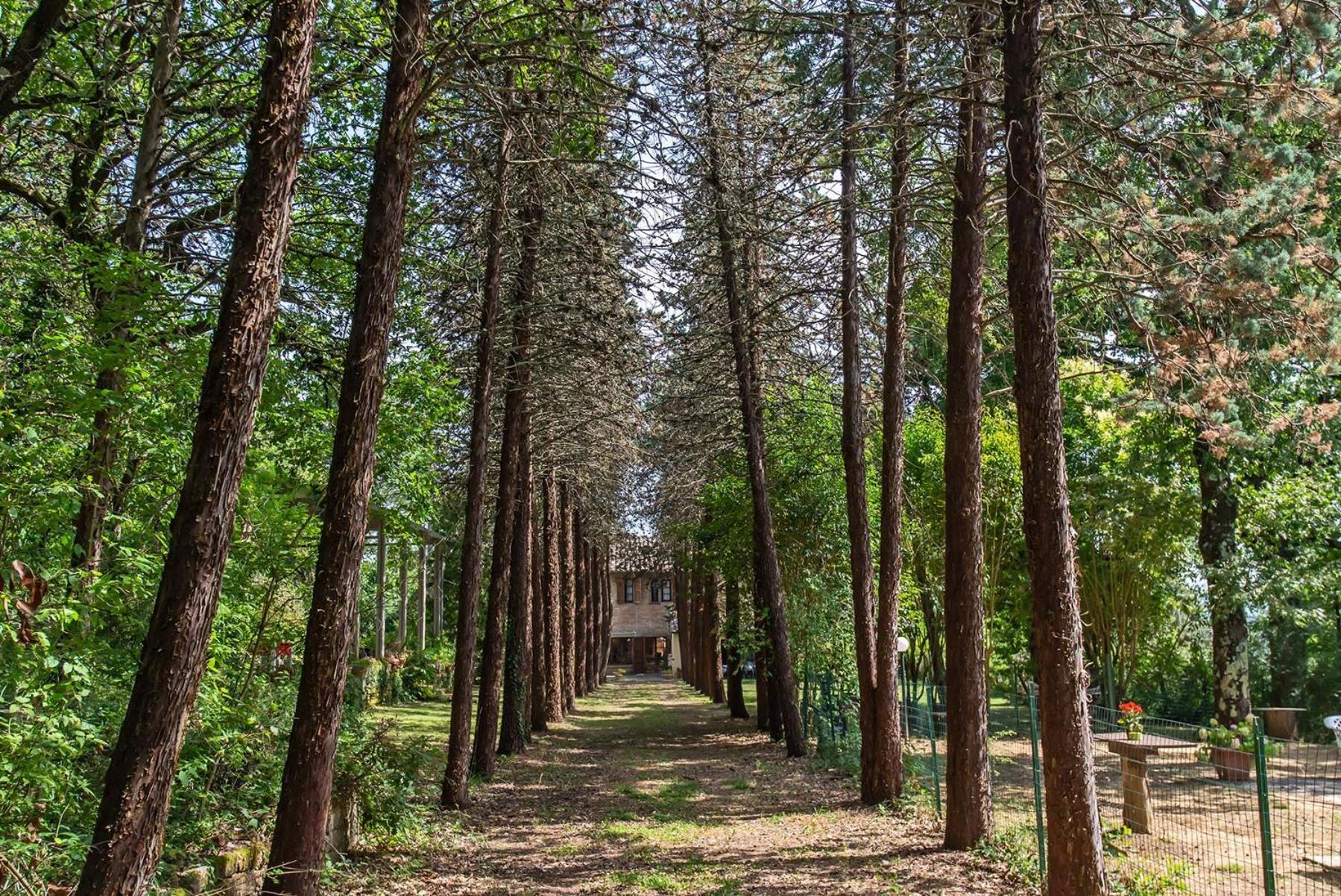 Agriturismo Villa Alari Cetona Exterior foto